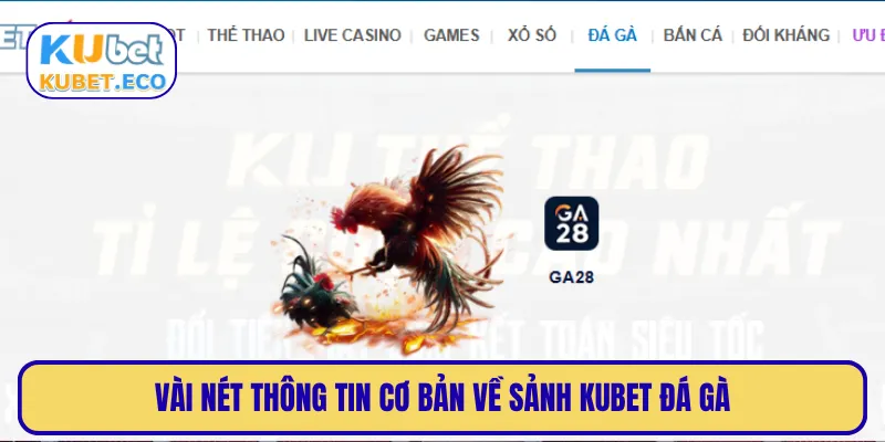 Vài nét thông tin cơ bản về sảnh KUBET đá gà